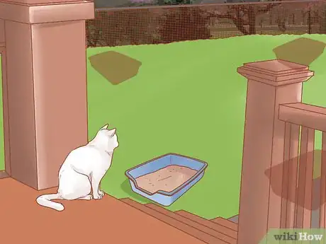 Imagen titulada Get a Litter Trained Cat to "Go" Outside Step 9